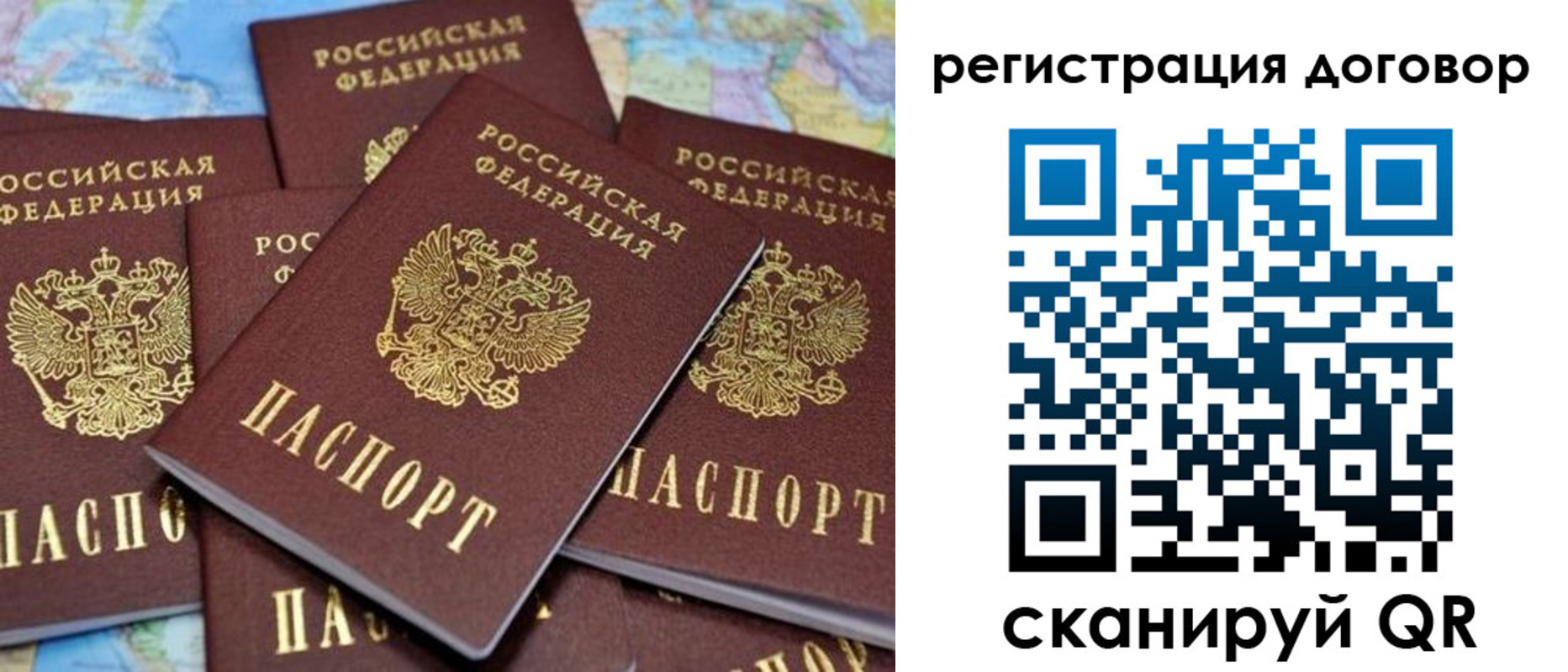 прописка гарантия в Сальске